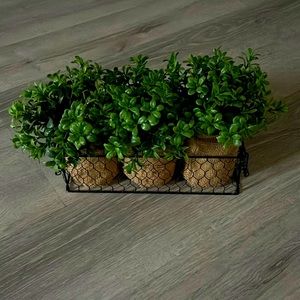 Set of 3 Faux Plants in Black Wire Planter